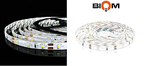 Светодиодная лента OEM ST-12-2835-60-CW-65 белая, герметичная, 1м