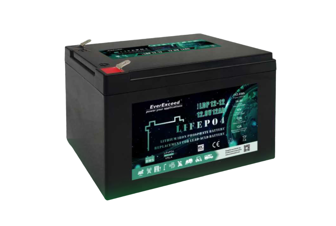 Акумулятор EverExceed LDP12-12 (12.8V 12Ah), фото 1