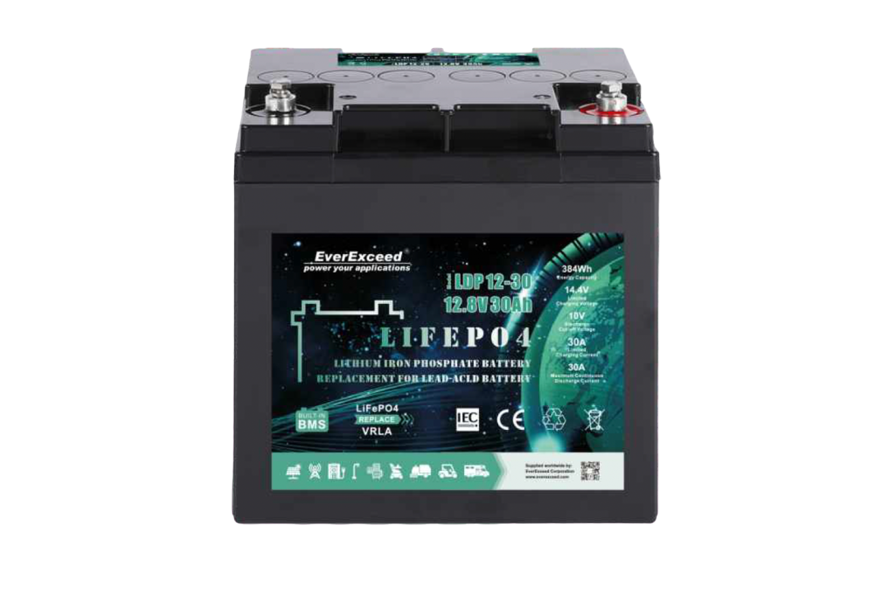 Акумулятор EverExceed LDP12-30 (12.8V 30Ah), фото 1