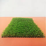 Штучна трава Alcoya 30 - ширина 2 і 4 метри /безкоштовна доставка/, фото 6