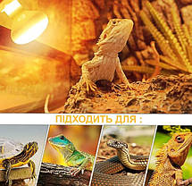 Лампа точкового нагріву, Terrario Bogande Basking Sun Light, 75W., фото 4