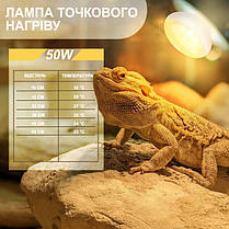 Лампа точкового нагріву, Terrario Bogande Basking Sun Light, 50W., фото 5