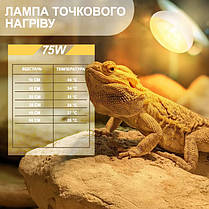 Лампа точкового нагріву, Terrario Bogande Basking Sun Light, 75W., фото 5
