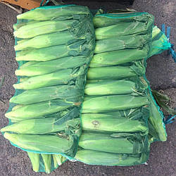 Овочева сітка 20 кг (40*70см) 50шт/уп, зелена