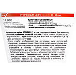 Професійні кусачки Staleks Classic NE-10-11 (11 мм) для манікюру з нержавіючої сталі, фото 6