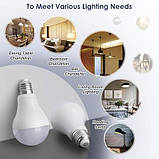 Світлодіодна лампочка Famitree E27 Edison Screw, 20 Вт (150 Вт еквівалент), теплий білий, 2452 лм, без регулювання яскравості -, фото 7