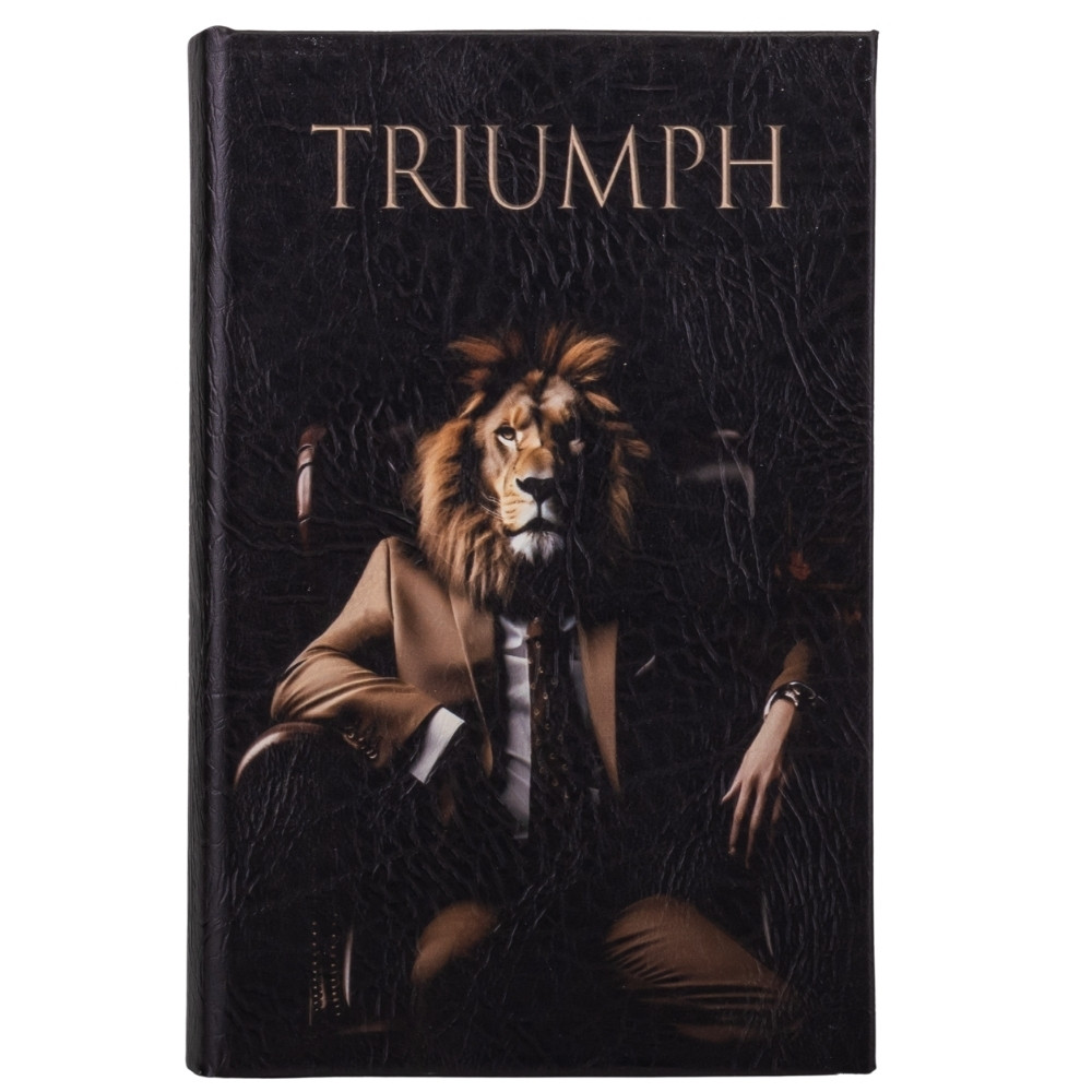 Книга сейф Тріумф, книга-сейф із замком 0508-012