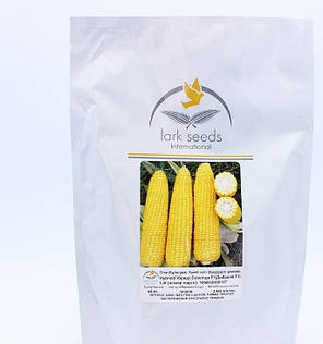 Насіння кукурудзи Добра/Добріня F1, 2500 насіння — рання, суперсолодка, фото 3