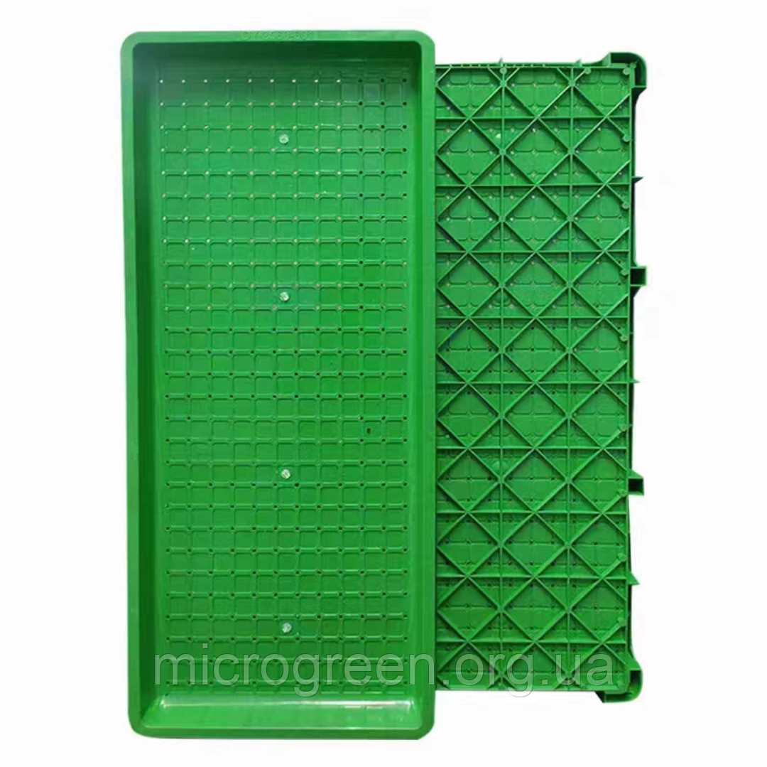 Лоток для мікрозелені, зелений 60*25*3,5см