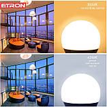 LED лампа 10W 12V - 48V A60 E27 4200K ETRON 1-ELP-1248 низьковольтна, фото 4