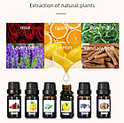 Набір аромаолій водорозчинних для зволожувача повітря/аромадифузора 6 шт., фото 3