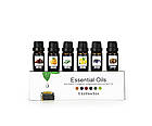 Набір аромаолій водорозчинних для зволожувача повітря/аромадифузора 6 шт., фото 2