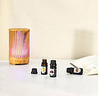 Набір аромаолій водорозчинних для зволожувача повітря/аромадифузора 6 шт., фото 5