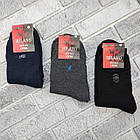 Шкарпетки чоловічі високі зимові з махрою р.41-45 асорті MILANO 30039117, фото 2