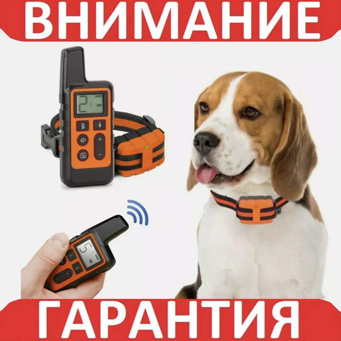 Нашийник для дресування собак із пультом ДК
