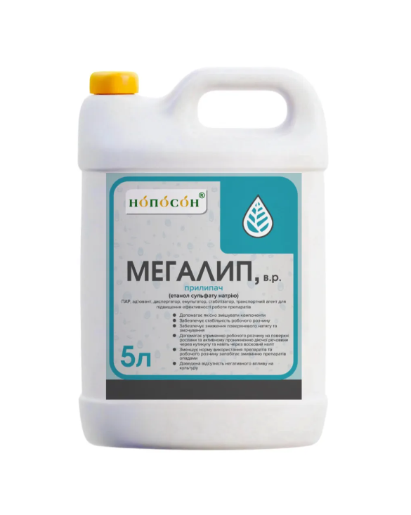 Прилипач Мегалип