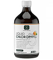 Хлорофіл Рідкий Цитрус і м'ята 480 мл Тибетська Формула