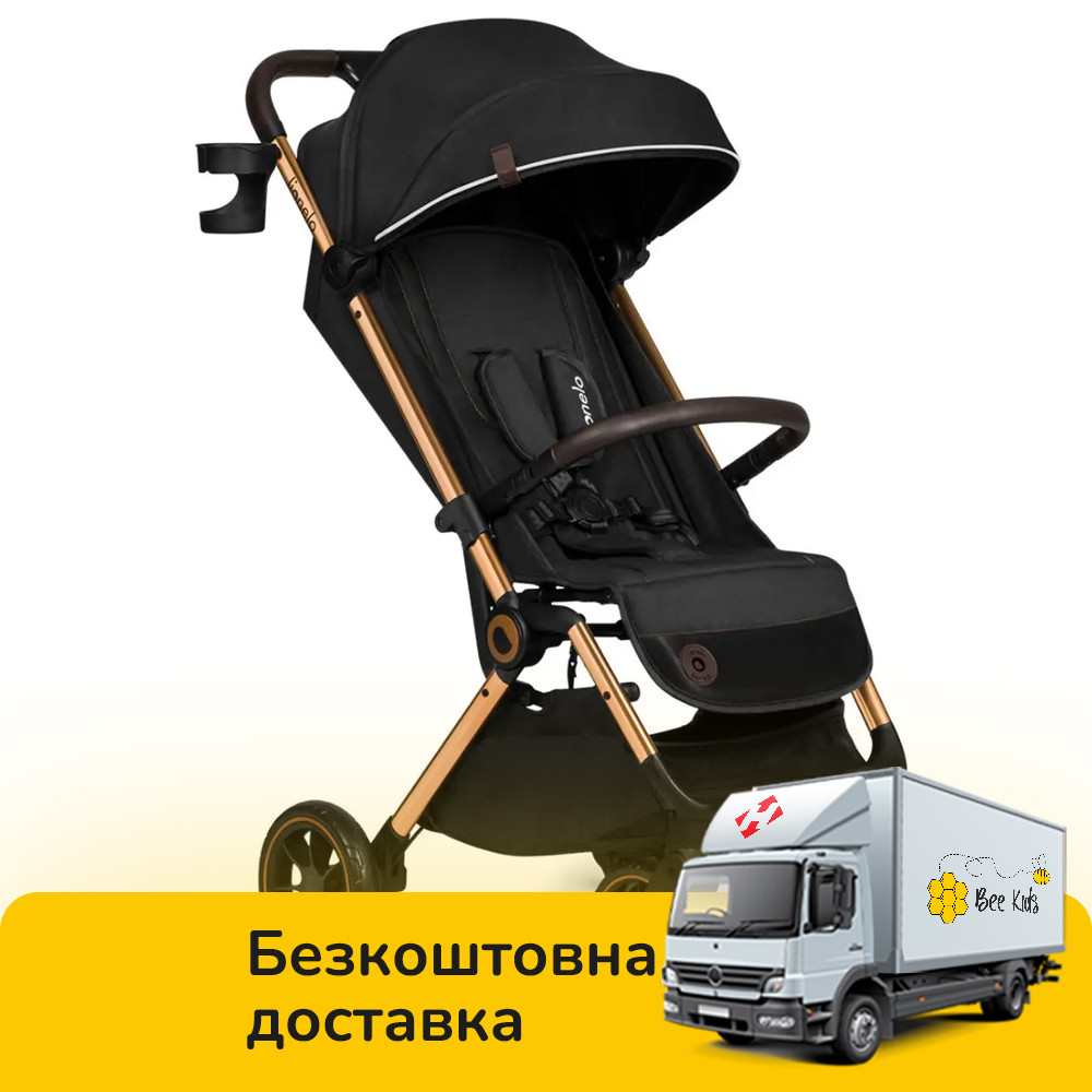 Коляска прогулянкова Lionelo Cloe Black Onyx Чорна, фото 1