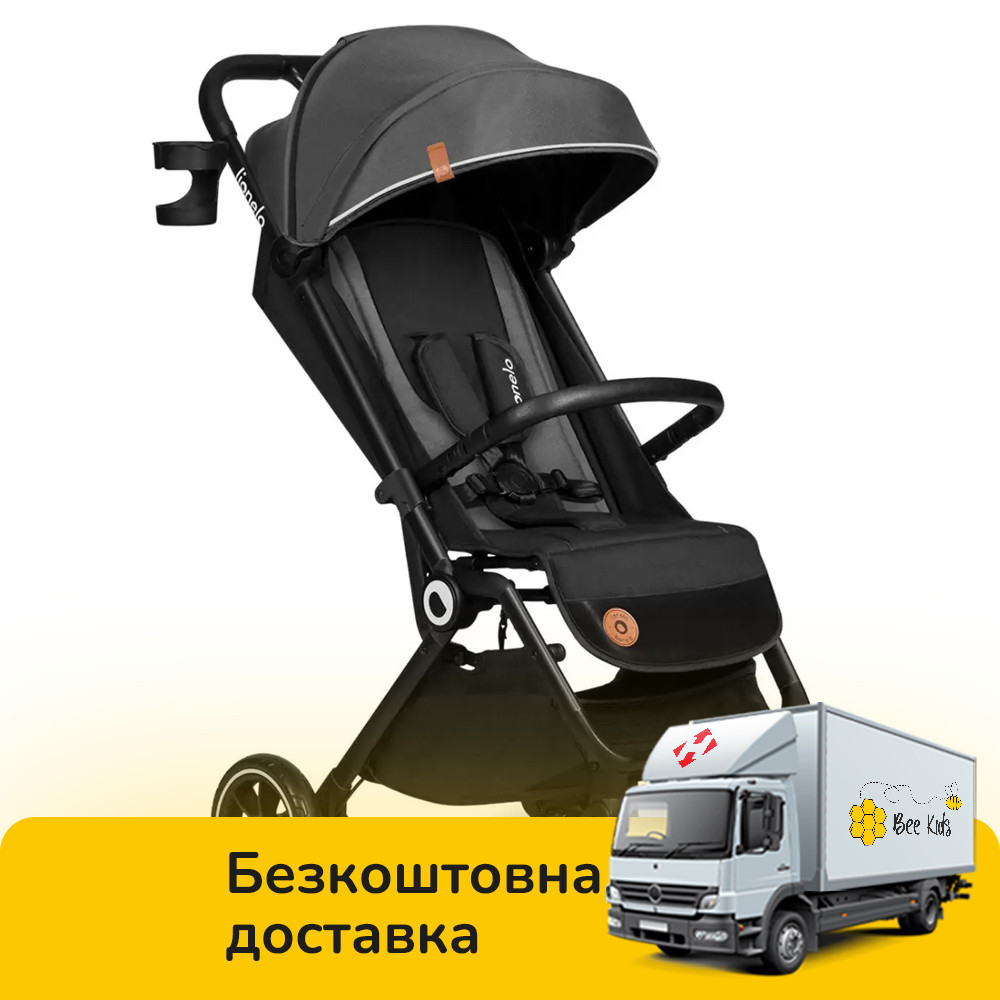 Коляска прогулянкова Lionelo Cloe Grey Stone Темно-сіра, фото 1