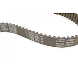 Комплект ГРМ Kia Rio 1.3i 00-05 (22x107z), фото 3