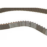 Комплект ГРМ Kia Rio 1.3i 00-05 (22x107z), фото 4