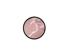 SAGA BUILDER GEL VEIL №17, 30 ML