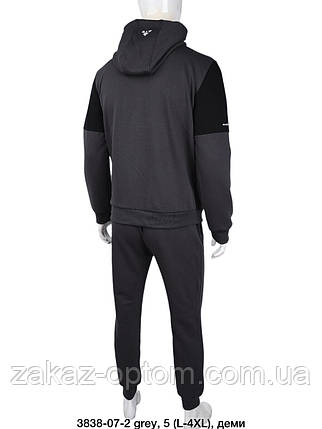 Спортивний костюм чоловічий гуртом (L-4XL) Китай 3838-128077, фото 3