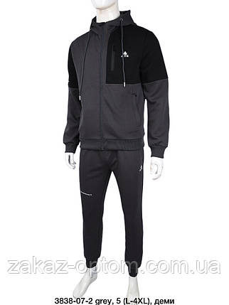 Спортивний костюм чоловічий гуртом (L-4XL) Китай 3838-128077, фото 1