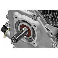 Бензиновий двигун 8 к.с. 5.9кВт LEX LXGE180F, фото 6