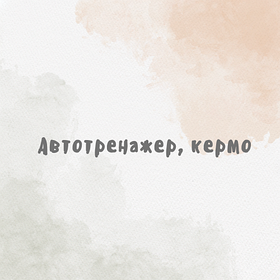 Автотренажер, кермо