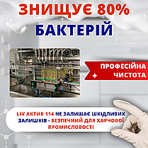 Антибактеріальне лужний засіб LIV АКТИВ 114 для кухні громадського харчування харчового обладнання лікарень, фото 5