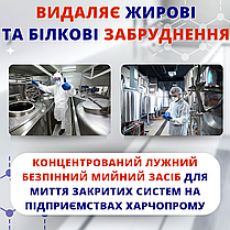 Антибактеріальне лужний засіб LIV АКТИВ 114 для кухні громадського харчування харчового обладнання лікарень, фото 6