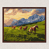 Картина за номерами Тварини. Вільні коні 40*50 см Ідейка KHO 6609, фото 3