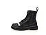 Жіночі зимові черевики Dr. Martens 1460 Sex Pistols Black Rolled Smooth (чорні) з написом хутро artALL04833 vkross, фото 2