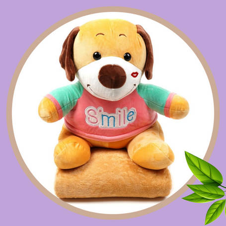 М'які іграшки з пледом усередині