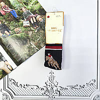 Дитячі колготи для хлопчика Polo