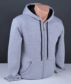 Чоловічий батник на блискавці з начосом великого розміру | Толстовка чоловіча на флісі сіра Туреччина 6165 Б