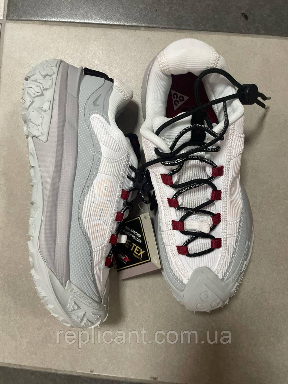 Кроссовки мужские Nike  ACG Mountain Fly 2 Gore-Tex чоловічі Кроссовки Nike, фото 1