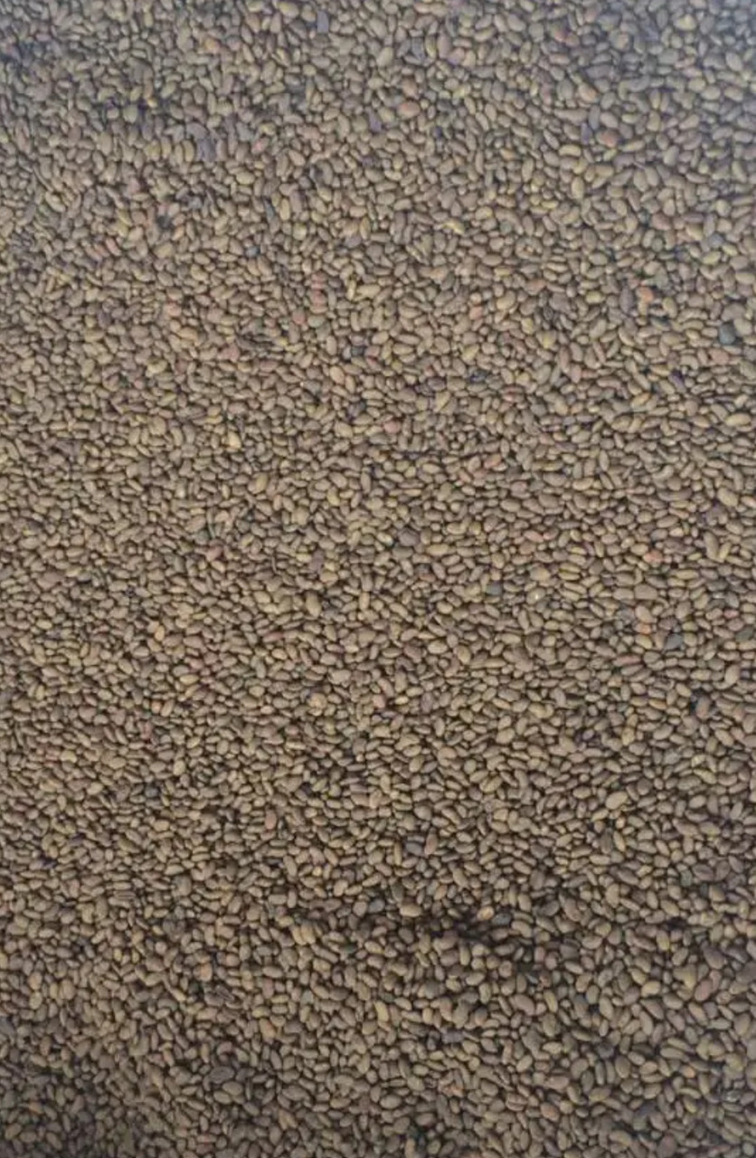 Насіння Люцерни Надія 10 кг магнічена, фото 1