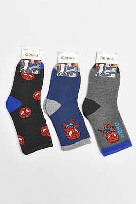 Набір дитячих шкарпеток махрових для хлопчика 3 штуки р.7-9 189466T Безкоштовна доставка
