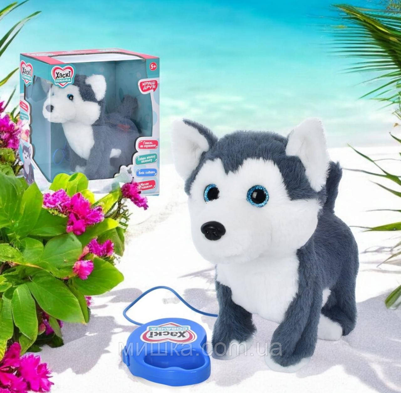 Собака Хаскі на повідку, м'яка інтерактивна іграшка 26 см, ходить, співає, рухає хвостом, M 4431 I UA, фото 1