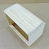 Бокс Віпаріта Карані ВКА-000301, фото 7