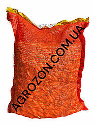 Цибуля Купідо (Амфора) TOP - 10 кг