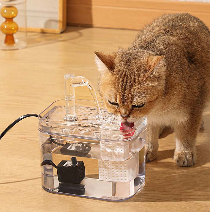 Поїльник для кішок. PH-71721, фото 1