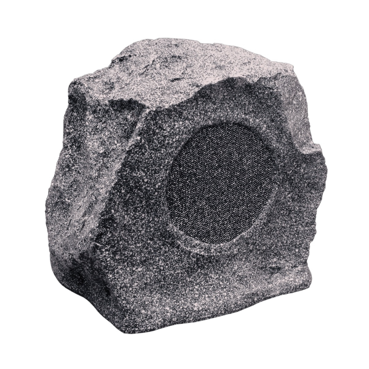 Гучномовець ландшафтний Biamp ROCK20
