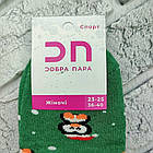 Шкарпетки жіночі короткі новорічні зимові з махрою р.23-25(36-40) пінгвін асорті ДОБРА ПАРА 30039150, фото 4