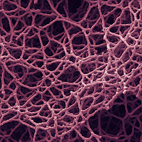 Модифікована проти немодифікованої епоксидної смоли: ключові відмінності