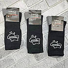 Шкарпетки чоловічі високі зимові з махрою р.29-31(44-45) асорті трекінгова гумка НОВА ЛІНІЯ 30039160, фото 2