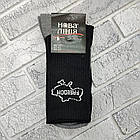 Шкарпетки чоловічі високі зимові з махрою р.29-31(44-45) асорті трекінгова гумка НОВА ЛІНІЯ 30039160, фото 3