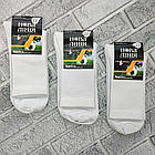 Шкарпетки чоловічі високі весна/осінь р.27-29(42-43) трекінгова гумка білі НОВА ЛІНІЯ 30039169, фото 2